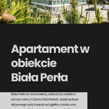 Biala Perla Czarna Gora 102 Apartment Sienna (Klodzko)